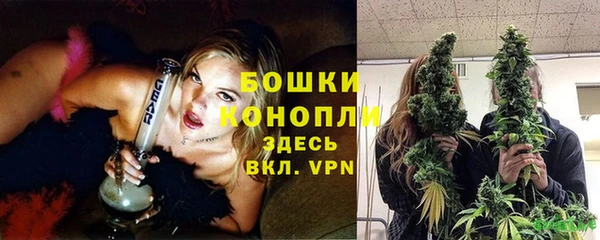 прущие грибы Навашино