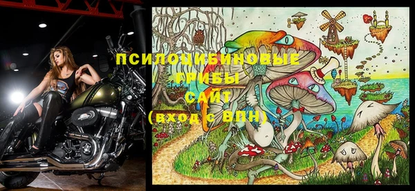 гашиш Нефтекумск