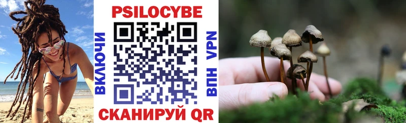 Псилоцибиновые грибы мицелий  маркетплейс формула  Рыбинск  где найти наркотики 