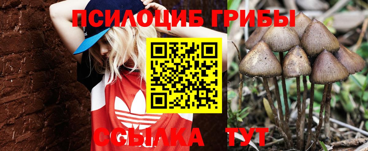 Рыбинск  Галлюциногенные грибы Magic Shrooms  Вход с VPN 